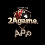 2a Game