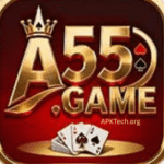 A55 Game