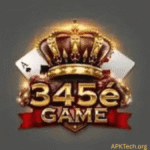 345E Game