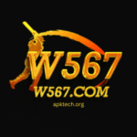 W567 Game